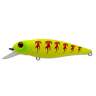 Fishycat TOMCAT 67SP-SR / X02