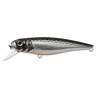 Fishycat TOMCAT 80SP-SR / R10