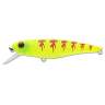 Fishycat TOMCAT 80SP-SR / X02