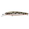 Fishycat BOBCAT 100SP / X06