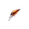 Fishycat icat 32F-DR / R20