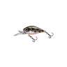 Fishycat icat 32F-DR / X06