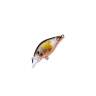 Fishycat icat 32F-SR / R18