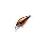 Fishycat icat 32F-SR / R20