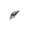 Fishycat icat 32F-SR / X06