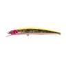 Fishycat LIBYCA 110SP / R21