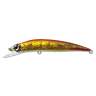 Fishycat LIBYCA 90SP / R15