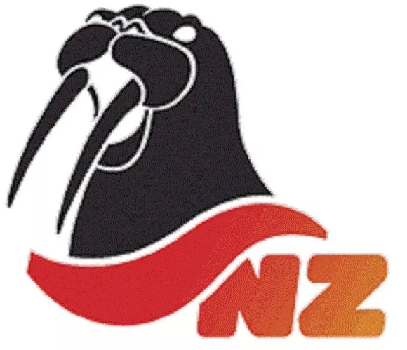 Логотип NZ